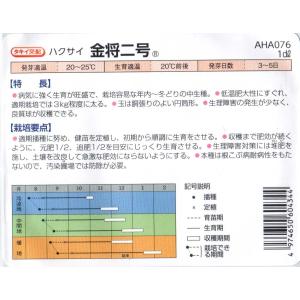 白菜(金将二号:中生 85日型)の詳細画像1
