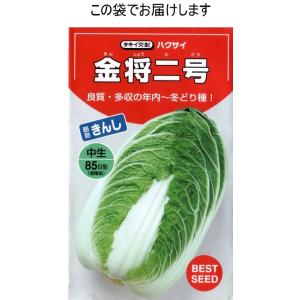 白菜(金将二号:中生 85日型)の詳細画像2