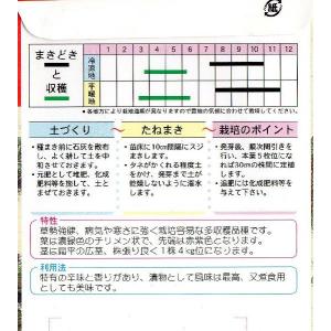 三池高菜の詳細画像1