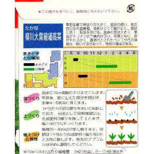 柳川大葉高菜の詳細画像1