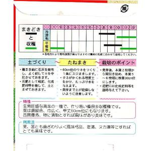 山形青菜の詳細画像1