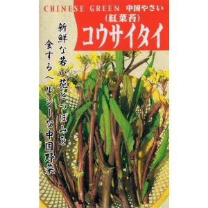 紅菜苔