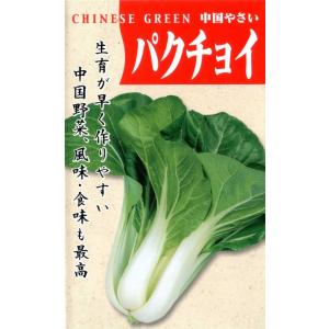 パクチョイ