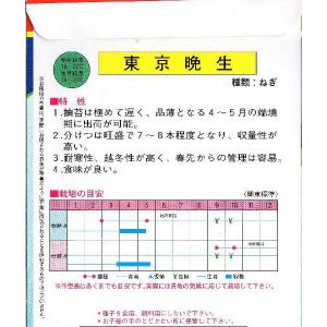 分けつ葱(東京晩生葱)の詳細画像1