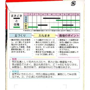 野沢菜の詳細画像1