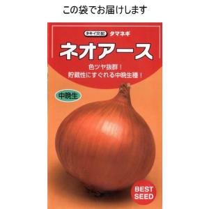 ネオアース玉葱の詳細画像2