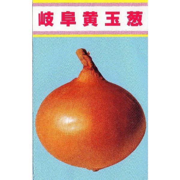 岐阜黄玉葱