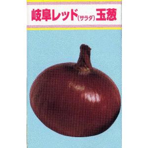 岐阜レッドサラダ玉葱