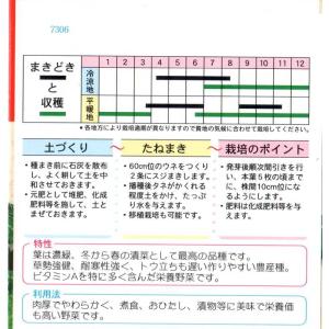 ビタミン菜の詳細画像1