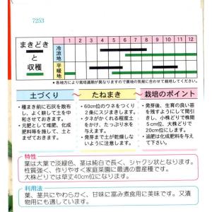 雪白体菜の詳細画像1