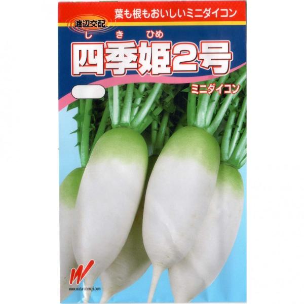 ミニ大根（四季姫２号）