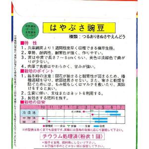 白花絹莢豌豆(はやぶさ)の詳細画像1