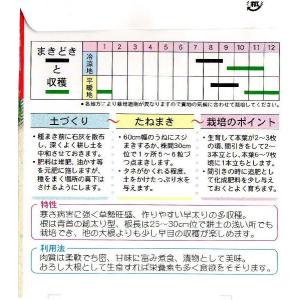 打木源助大根の詳細画像1
