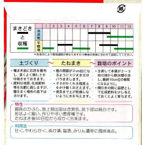 日野菜かぶの詳細画像1