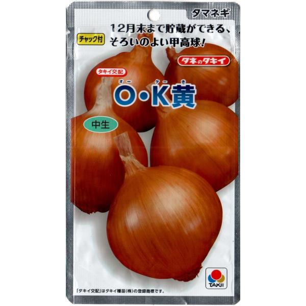 OK黄玉葱