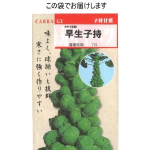 芽キャベツ(早生子持)の詳細画像2
