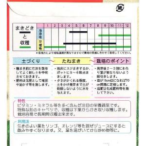 青汁用ケールの詳細画像1