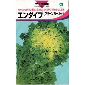 エンダイブ（キクチシャ、ニガチシャ）