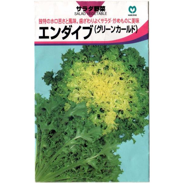 エンダイブ（キクチシャ、ニガチシャ）