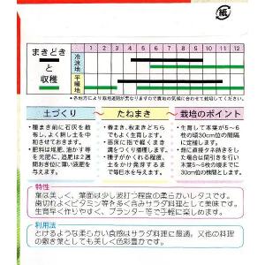 サラダ菜の詳細画像1