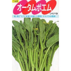 オータムポエムの商品画像