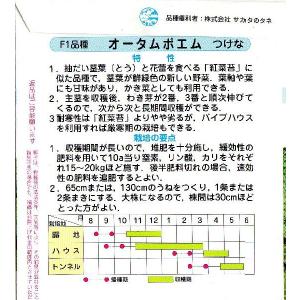 オータムポエムの詳細画像1