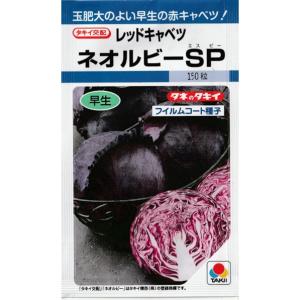 赤キャベツ（ネオルビーSP）