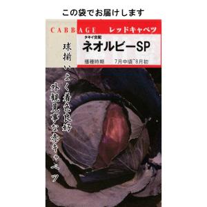 赤キャベツ(ネオルビーSP)の詳細画像2