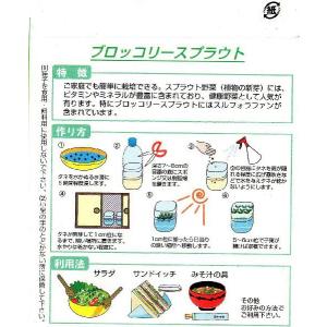 ブロッコリースプラウトの詳細画像1