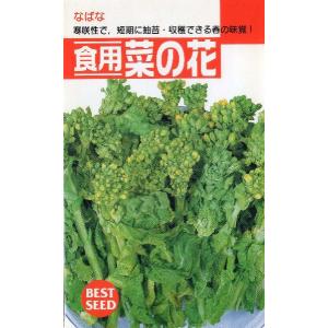 なばな 食用 葉菜の種 の商品一覧 種 種子 花 ガーデニング 通販 Yahoo ショッピング