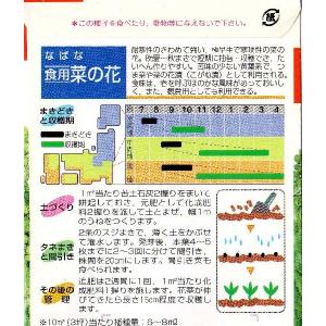 食用菜の花(なばな)の詳細画像1