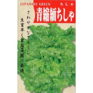青ちりめんちしゃ