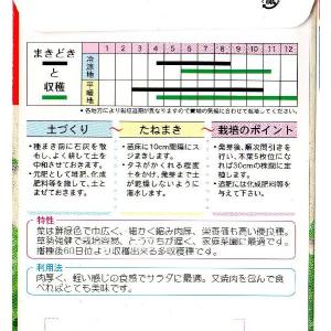 青ちりめんちしゃの詳細画像1
