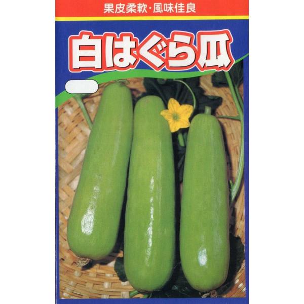 白はぐら瓜