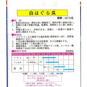 白はぐら瓜の詳細画像1