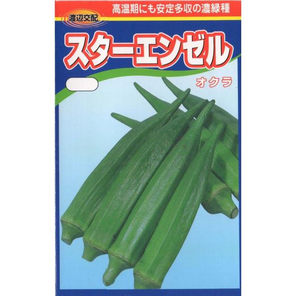 オクラ（スターエンゼル）