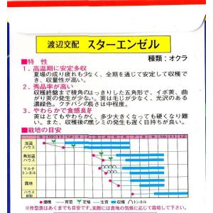 オクラ(スターエンゼル)の詳細画像1