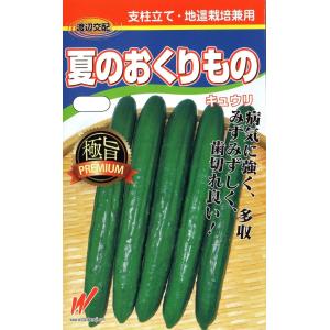 胡瓜（夏のおくりもの）