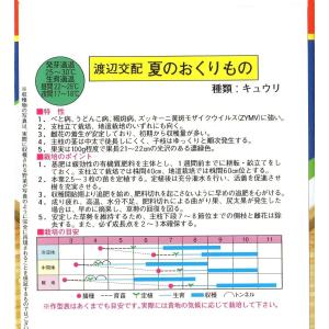胡瓜(夏のおくりもの)の詳細画像1