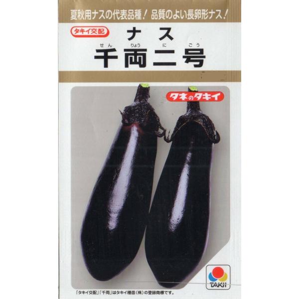 ナス（千両二号）