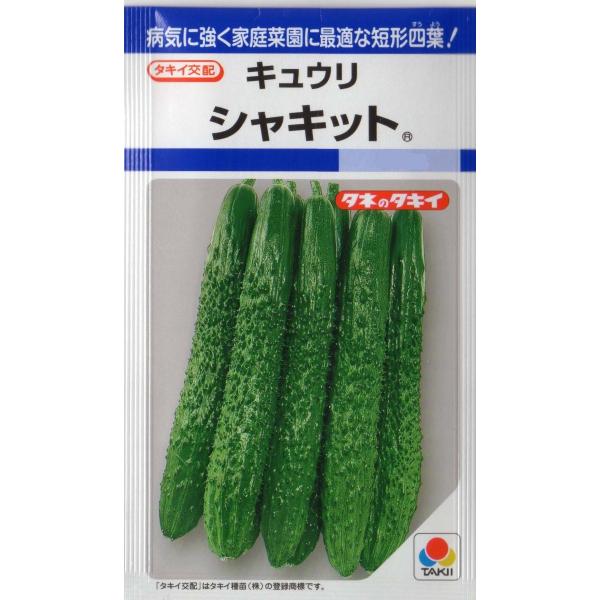 胡瓜（シャキット）