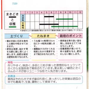 胡瓜(四葉)の詳細画像1