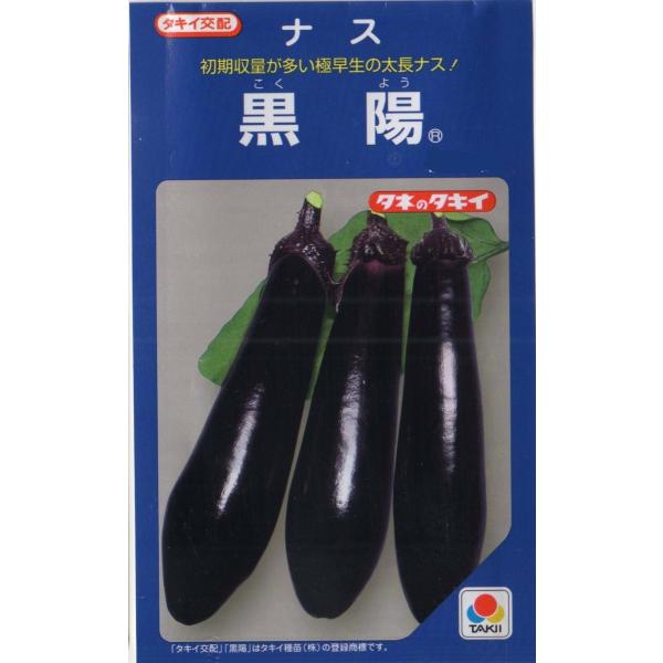 ナス（黒陽）