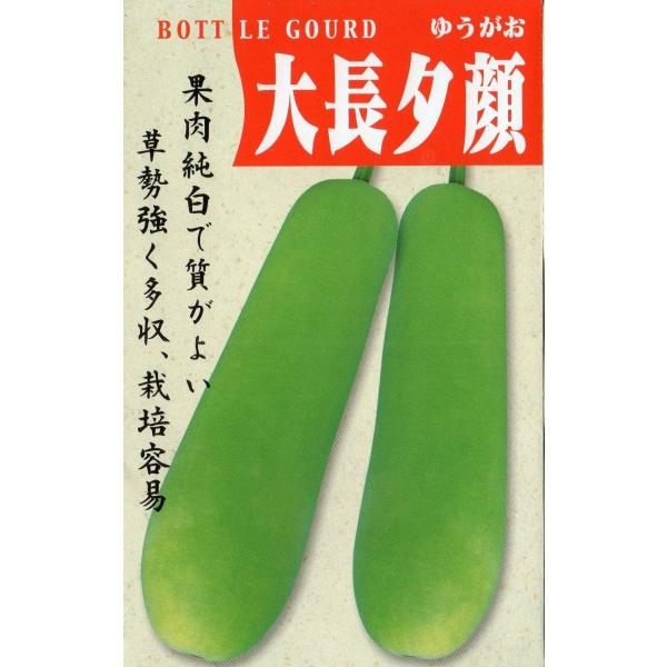 大長夕顔（かんぴょう）