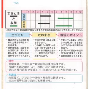 大とうがんの詳細画像1