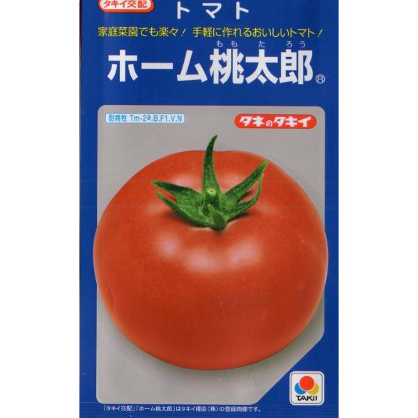 トマト（ホーム桃太郎）