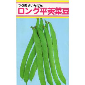つるあり菜豆(ロング平莢菜豆)の商品画像