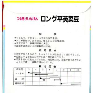 つるあり菜豆(ロング平莢菜豆)の詳細画像1