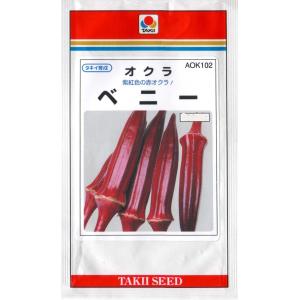 オクラ（ベニー）