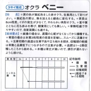 オクラ(ベニー)の詳細画像1
